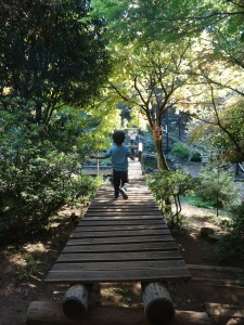 アスレチックで遊ぶ息子